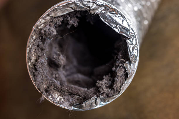 Best Emergency Air Duct Cleaning  in North Puyallup, WA